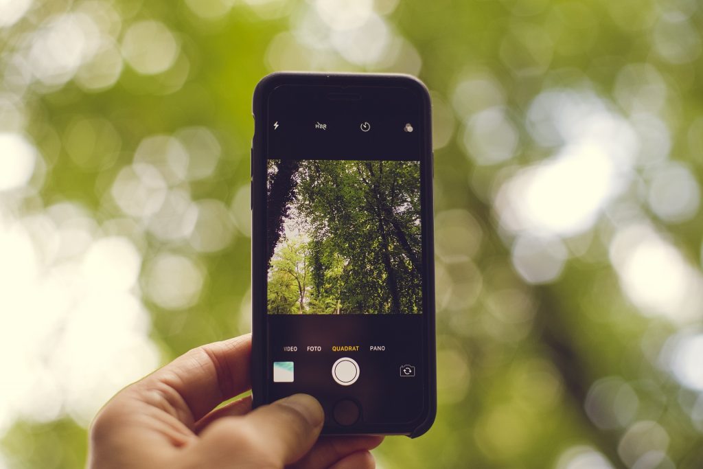 Contenidos multimedia
